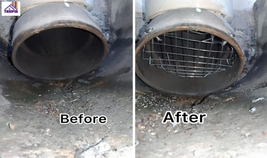 Admin/Blog/Details/Drain Pipe Bird Guard Installation.jpg